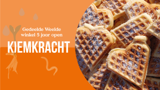 WAFELS! Leave a thought or a wish...