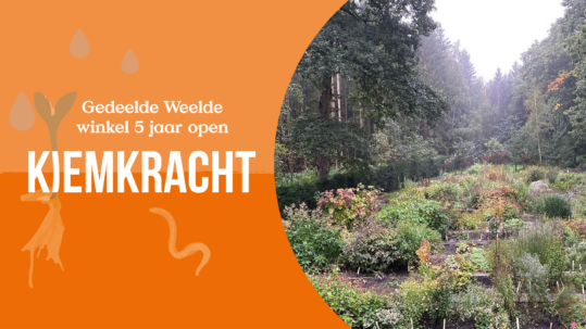 EXCURSIE: Kwekerij van Houtum (Biokultura) en coöperatie Odin