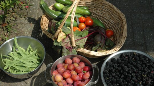 Moestuincafé - Feestelijke start van het moestuinseizoen