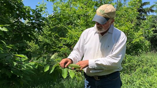 Food Film Fest: Feeding Tomorrow