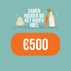 500 euro